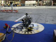PICT1731.JPG